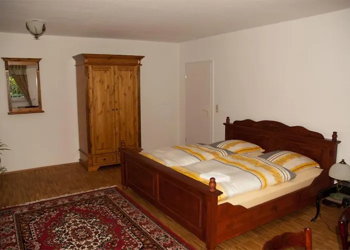 Daire Saengerstein *