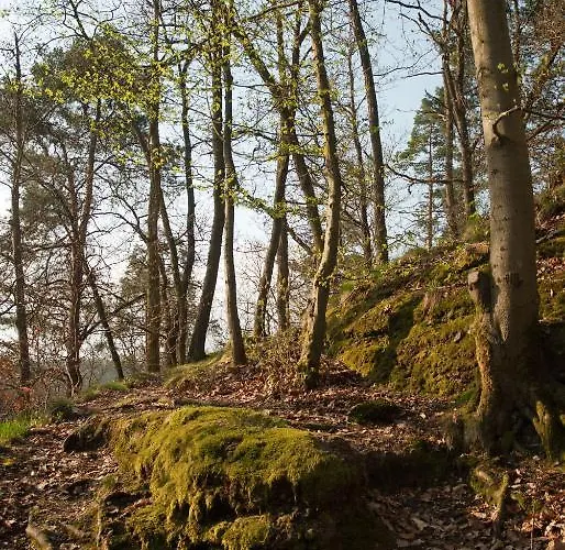 Saengerstein Daire Eisenach