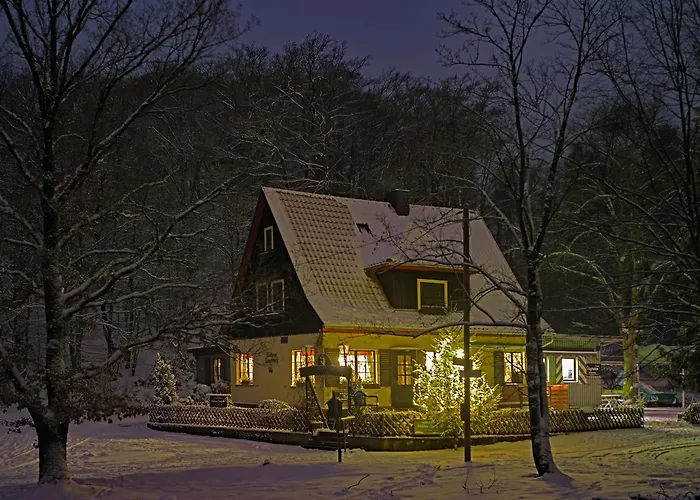 Saengerstein Daire *