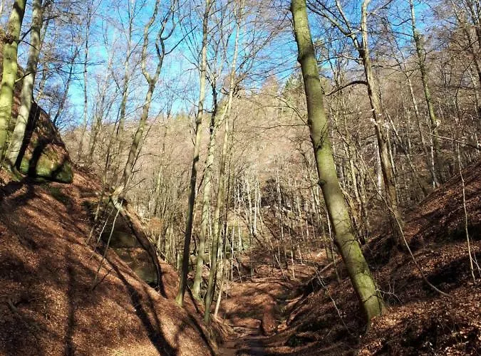 Daire Saengerstein Eisenach